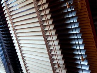 Cordless mini blinds providing modern and safe window solutions in a home environment.