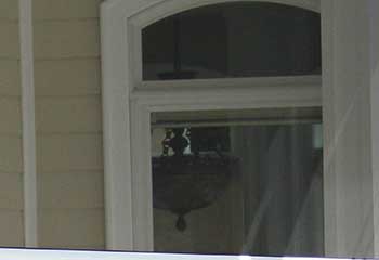 Motorized Outdoor Blinds - Campbell